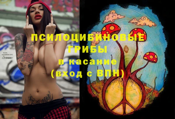 амф Балахна