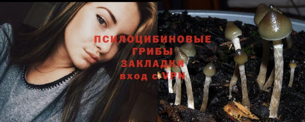 каннабис Баксан