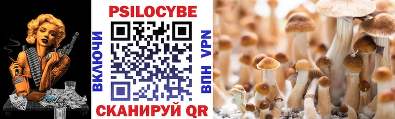 Галлюциногенные грибы MAGIC MUSHROOMS  hydra как зайти  Бородино 